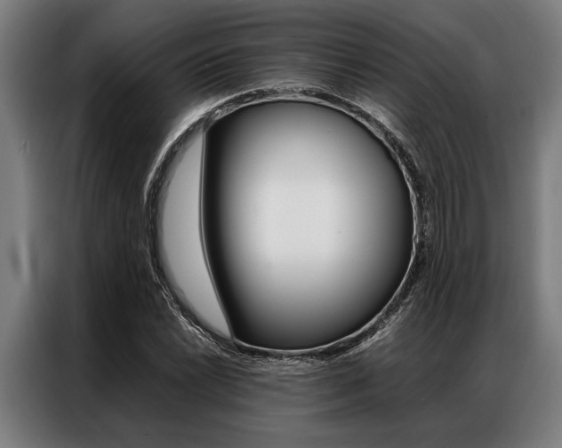 X0000087311022200704200713