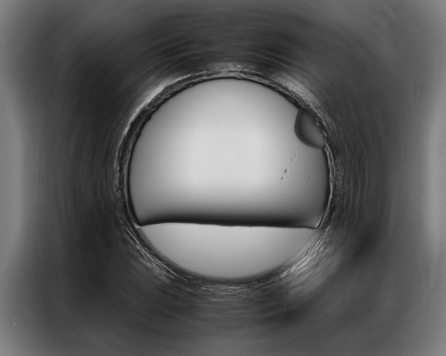 X0000087311023200704200713