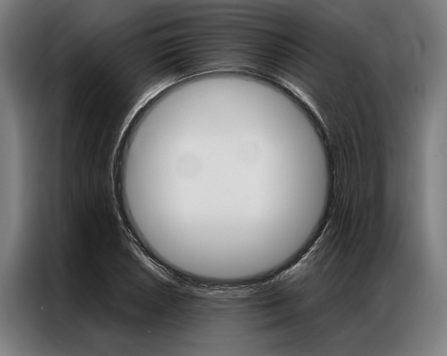 X0000087311026200704200713