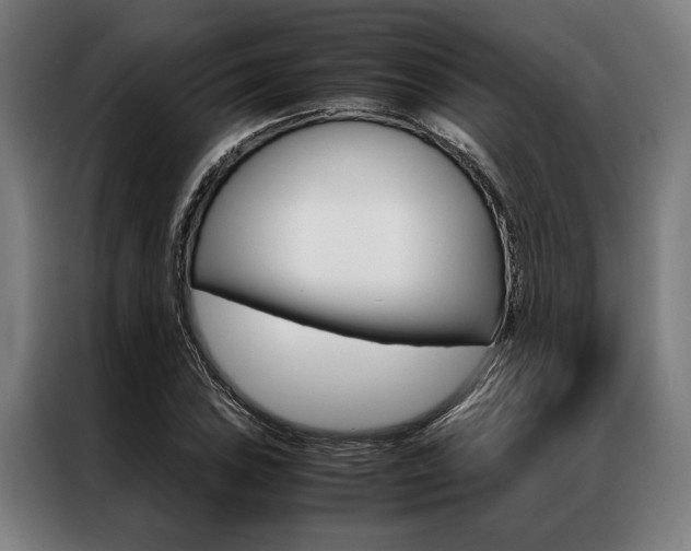 X0000087311027200704200713