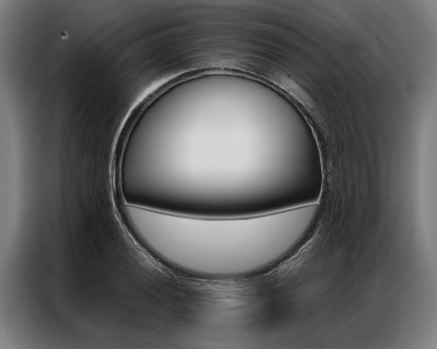 X0000087311028200704200713