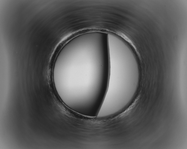 X0000087311029200704200713