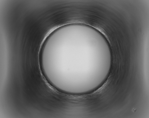 X0000087311030200704200713