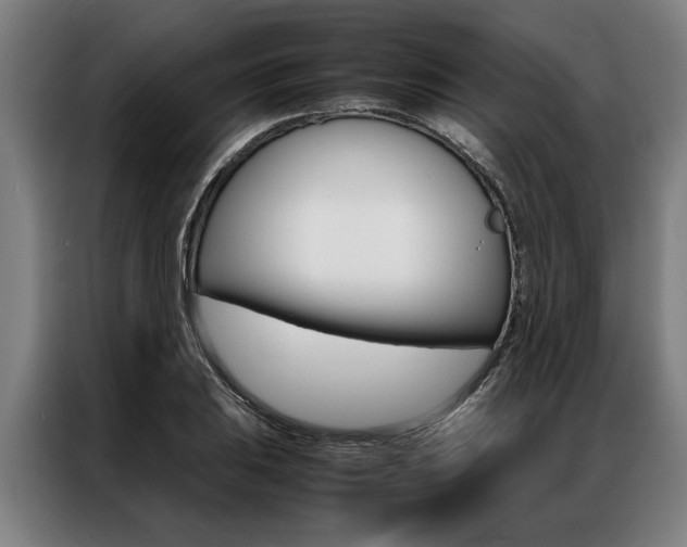 X0000087311031200704200713