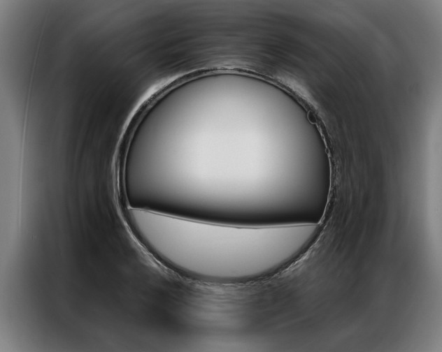 X0000087311032200704200713