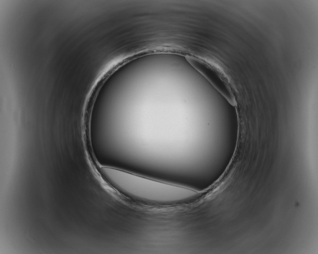 X0000087311038200704200714