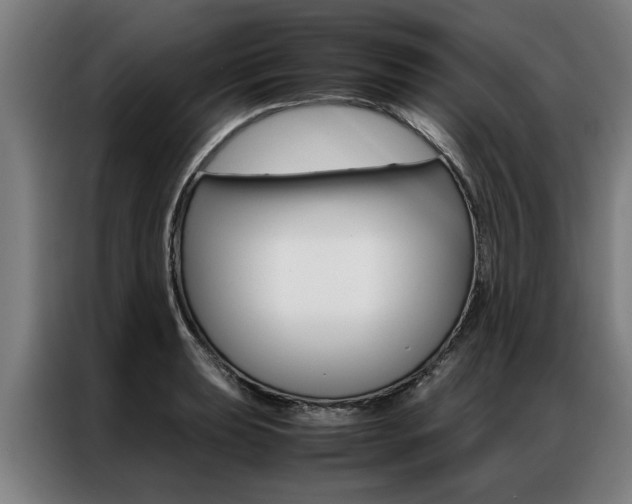 X0000087311039200704200714