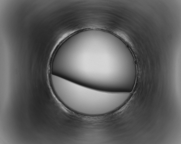X0000087311040200704200714