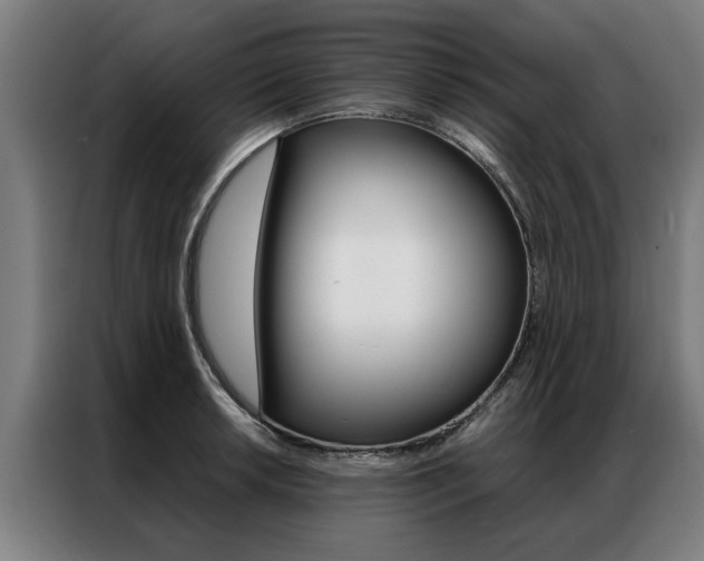 X0000087311042200704200714