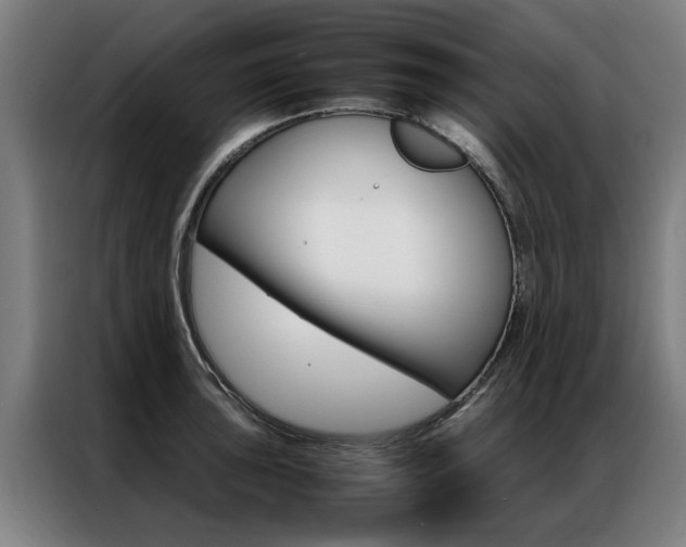 X0000087311043200704200714