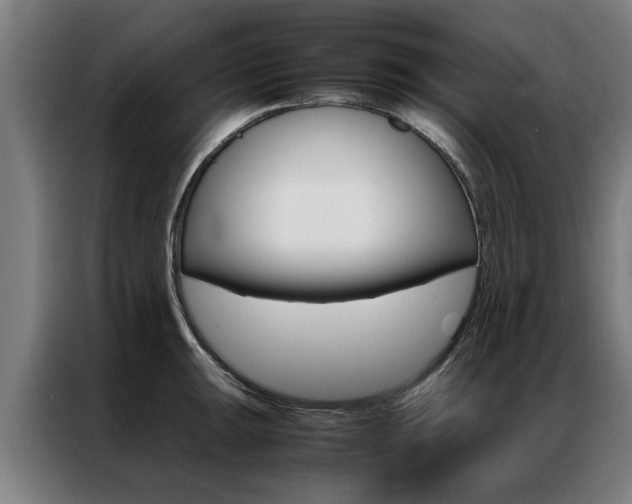 X0000087311047200704200714