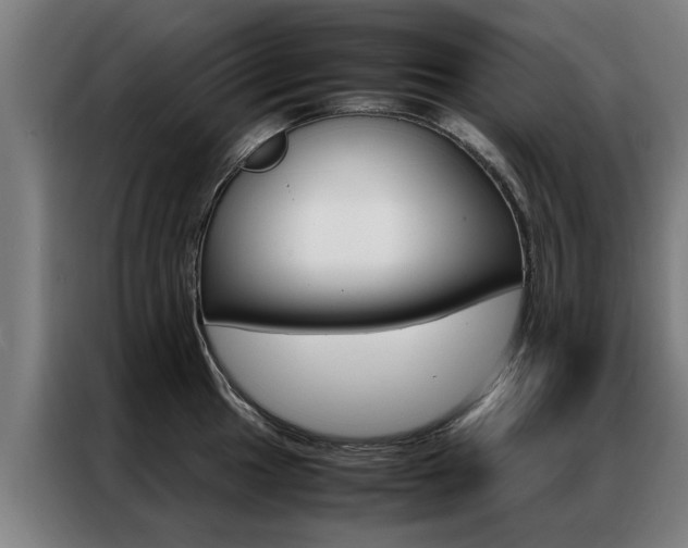 X0000087311049200704200714