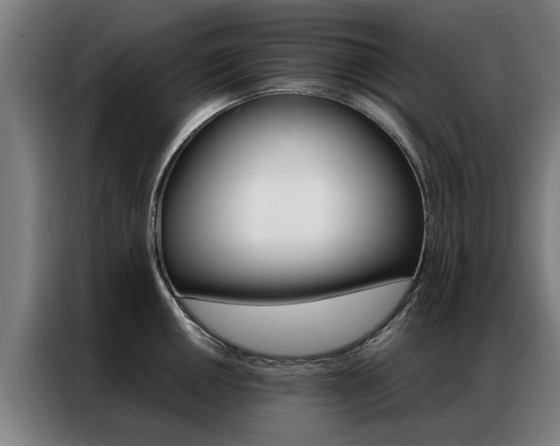 X0000087311050200704200714