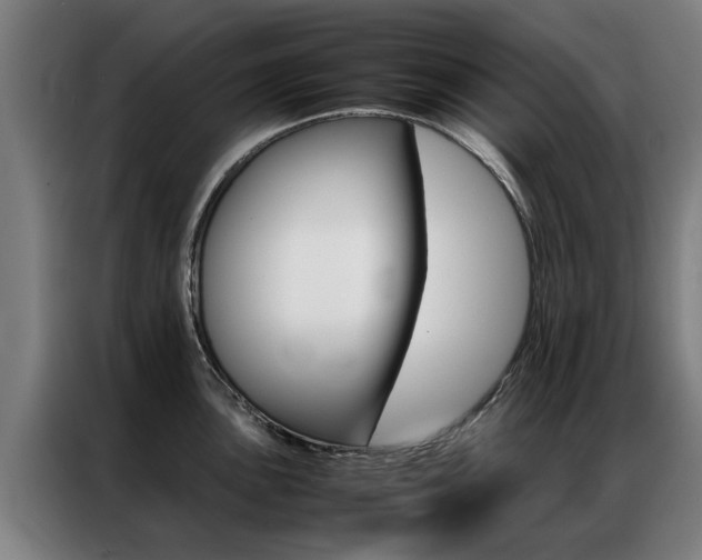 X0000087311051200704200714