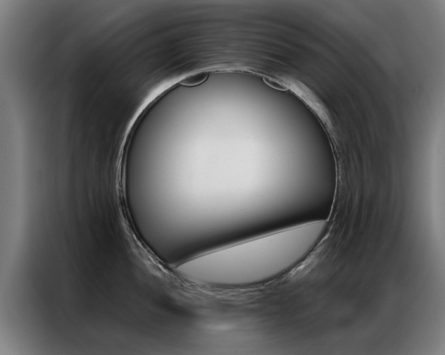 X0000087311052200704200714