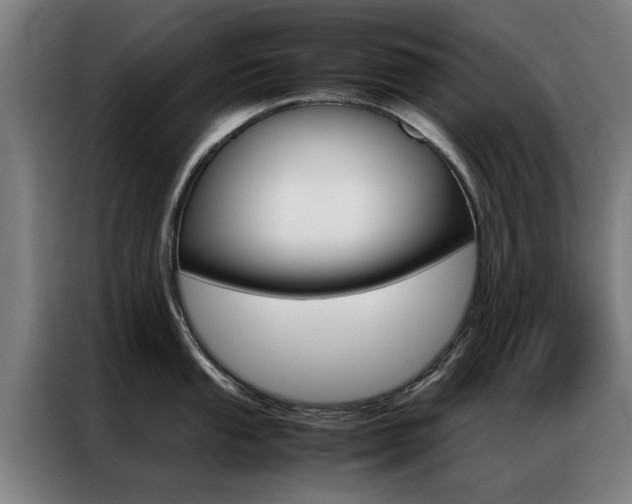 X0000087311053200704200714