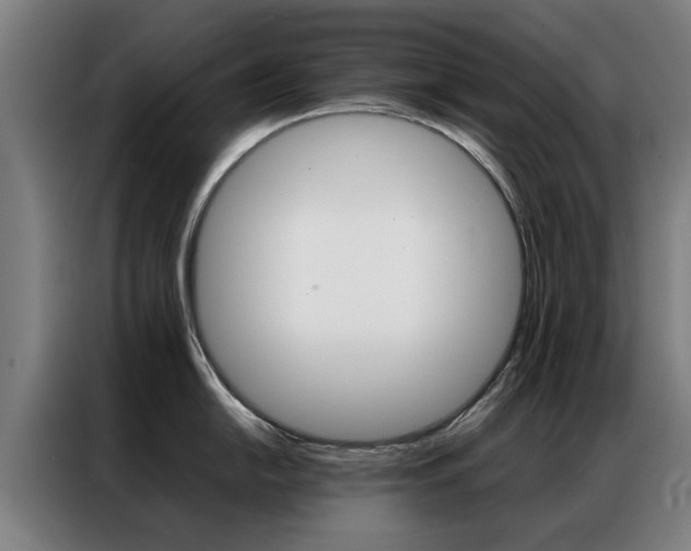 X0000087311054200704200714