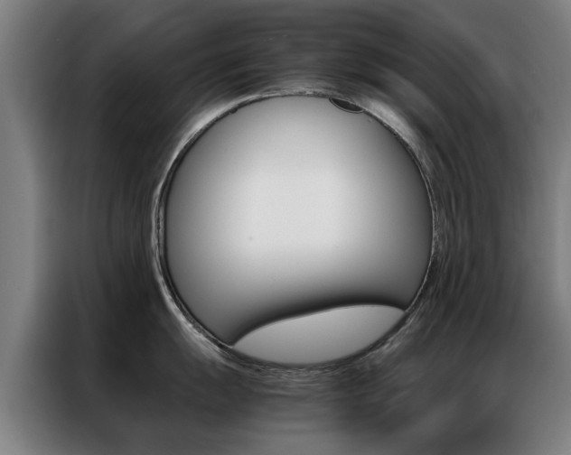 X0000087311055200704200714