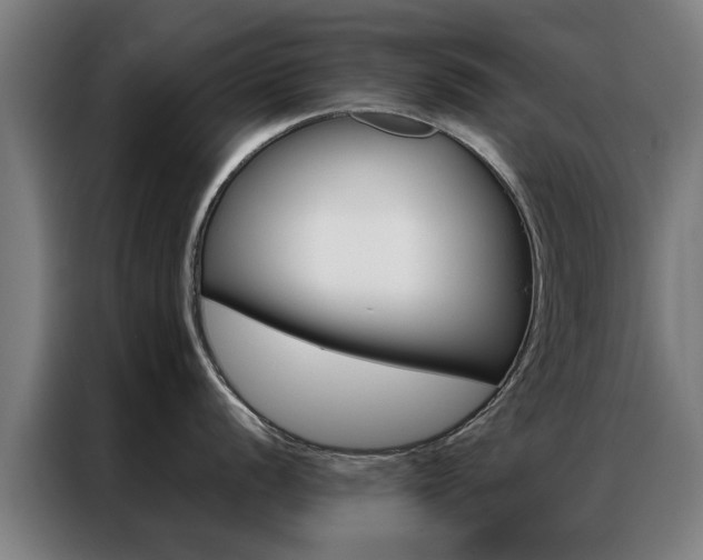 X0000087311056200704200714