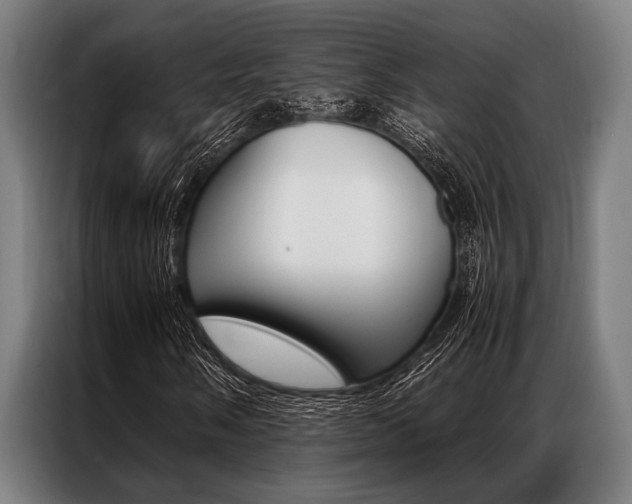 X0000087311058200704200713