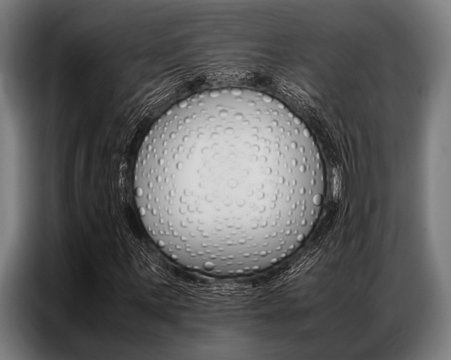 X0000087311059200704200713