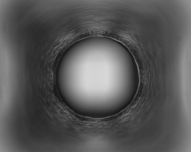 X0000087311061200704200713
