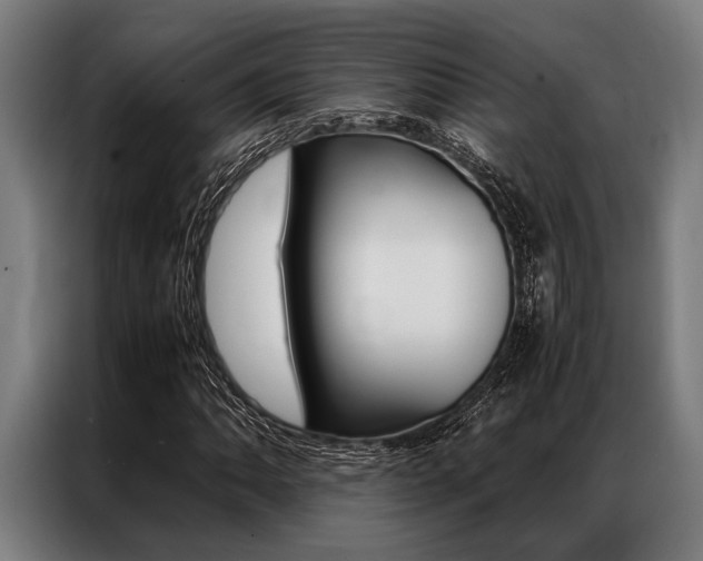 X0000087311062200704200713