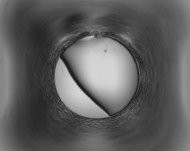 X0000087311063200704200713