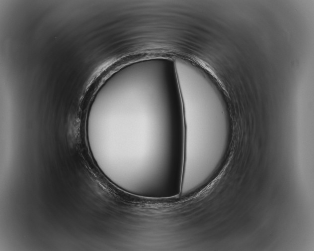 X0000087311066200704200713
