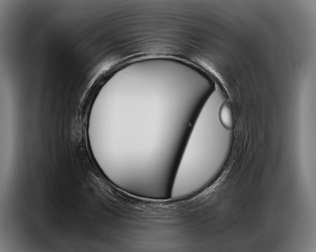 X0000087311067200704200713