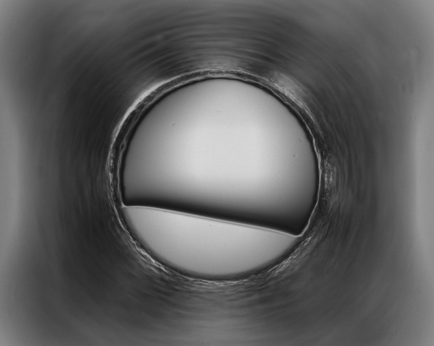 X0000087311068200704200713