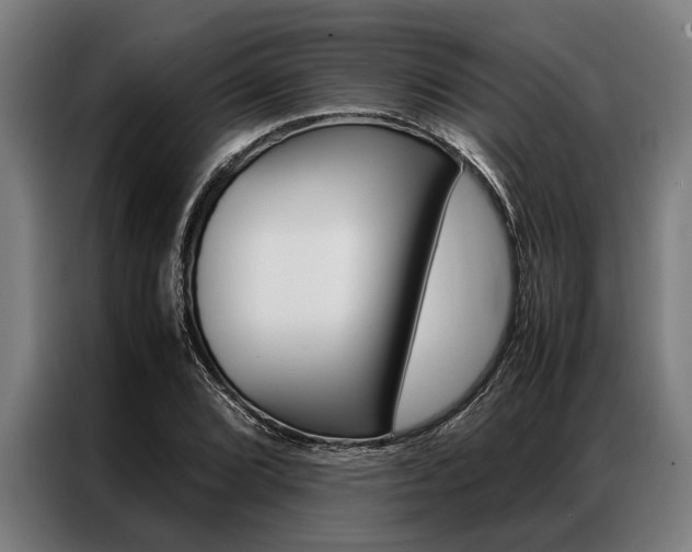 X0000087311072200704200713