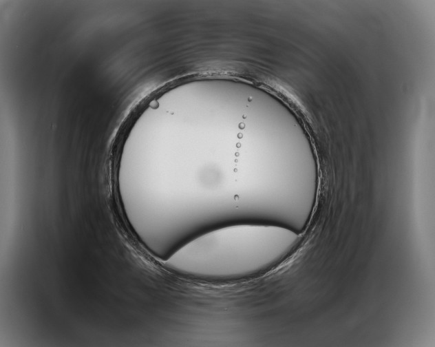 X0000087311075200704200713