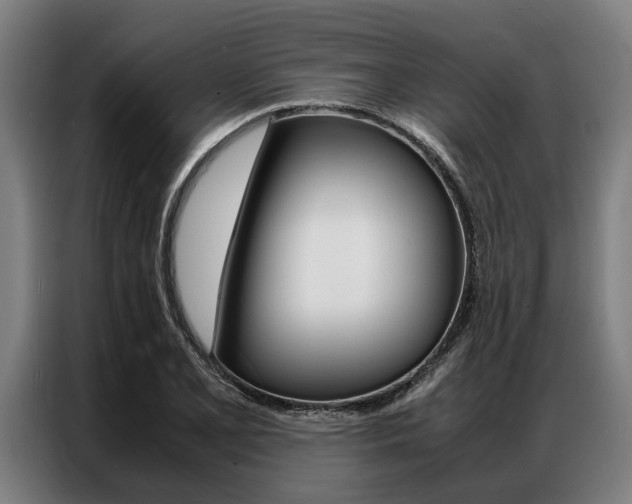 X0000087311077200704200713