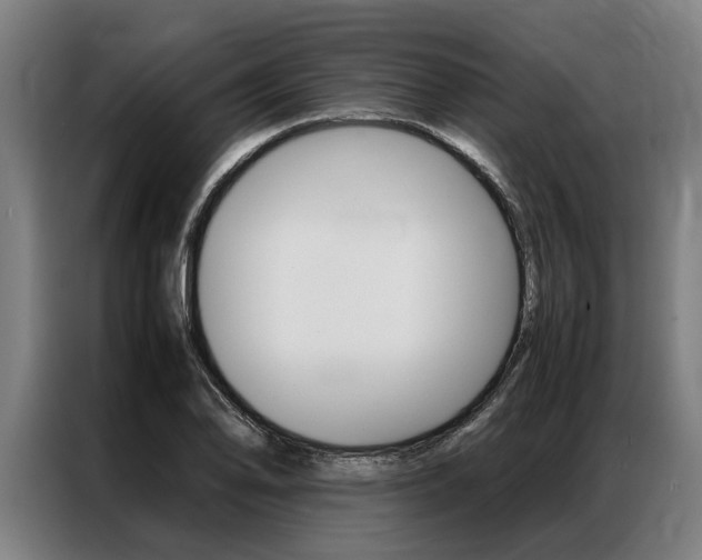 X0000087311078200704200713