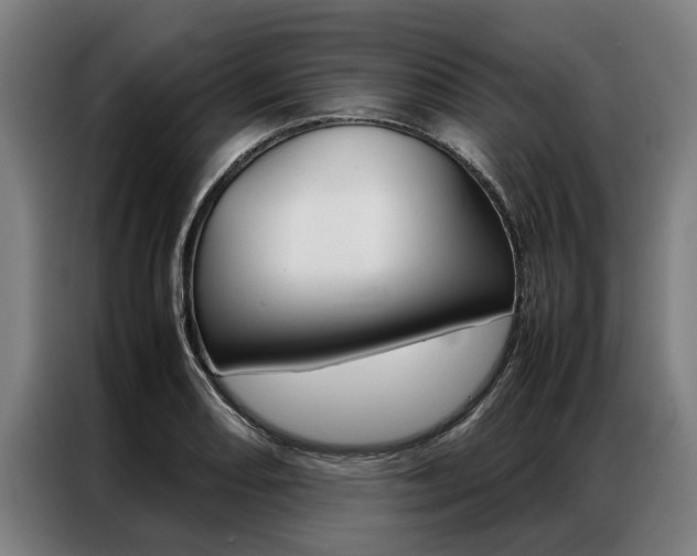 X0000087311082200704200713