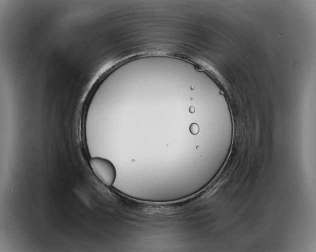 X0000087311083200704200713