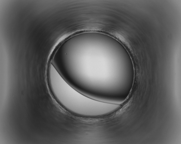 X0000087311085200704200713