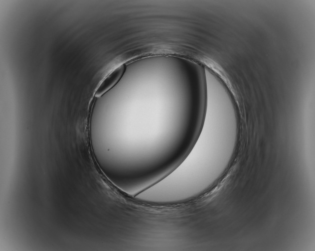 X0000087311089200704200713
