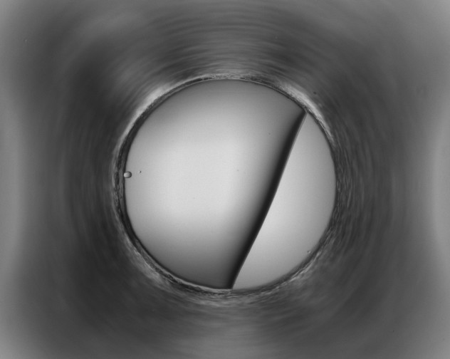 X0000087311091200704200713