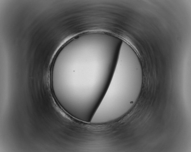 X0000087311092200704200713