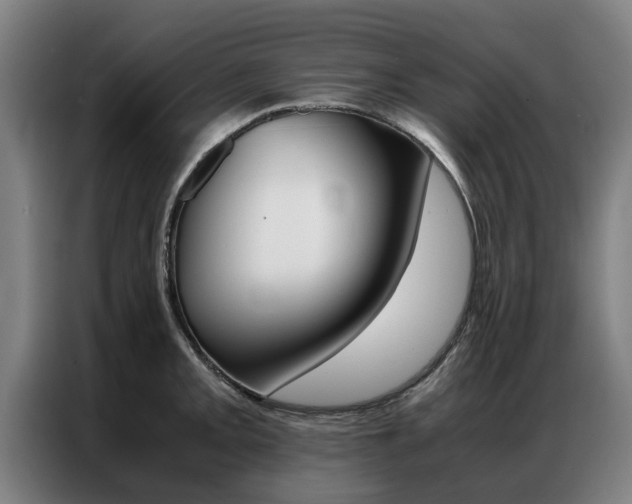 X0000087311093200704200713