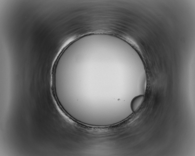 X0000087311095200704200713