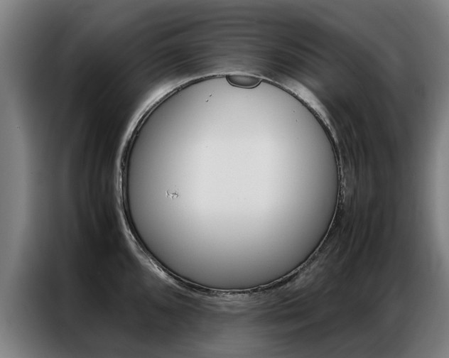 X0000087311096200704200713