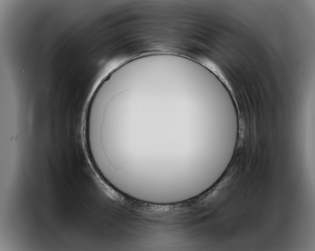 X0000087311098200704200713