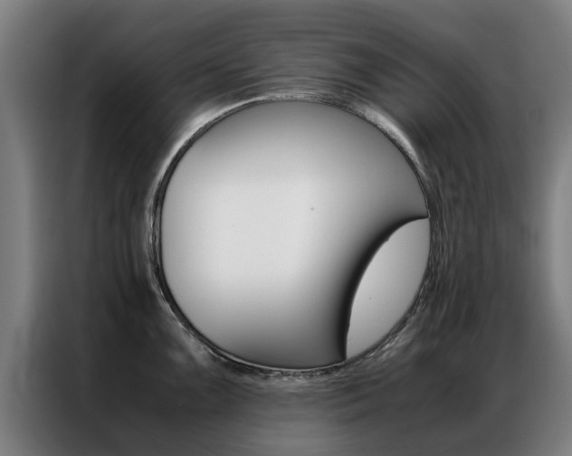 X0000087311099200704200713