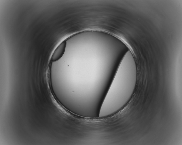 X0000087311100200704200713