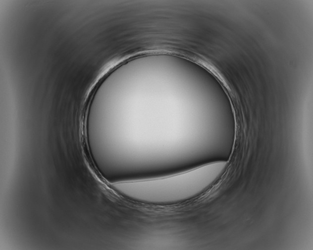 X0000087311101200704200713