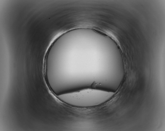 X0000087311103200704200713
