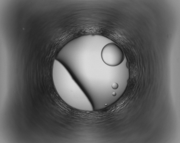 X0000087311106200704200712